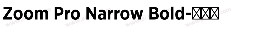 Zoom Pro Narrow Bold字体转换